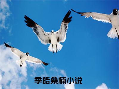 美文摘抄季皓桑楠-小说大结局免费阅读