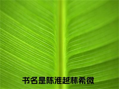 陈淮越林希微全文免费阅读无弹窗大结局_(陈淮越林希微免费阅读)陈淮越林希微最新章节在线阅读_笔趣阁