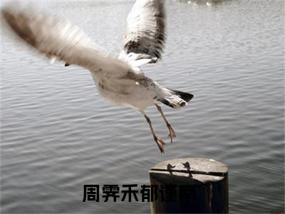 期盼一场雨（周霁禾郁谨南）热门小说在哪免费看-期盼一场雨小说周霁禾郁谨南全章节阅读