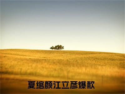 （夏绾颜江立彦）全文免费阅读无弹窗大结局_夏绾颜江立彦最新章节列表_笔趣阁