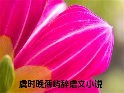 虞时晚薄屿辞全文免费阅读无弹窗_（虞时晚薄屿辞）全文在线阅读大结局