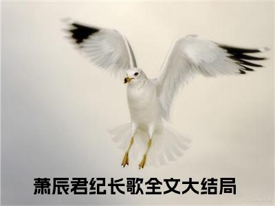 主角叫萧辰君纪长歌的小说-《萧辰君纪长歌》萧辰君纪长歌最新章节在线阅读