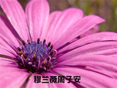 穆兰薇周子安（穆兰薇周子安）最新章节在线阅读-小说穆兰薇周子安完整版阅读