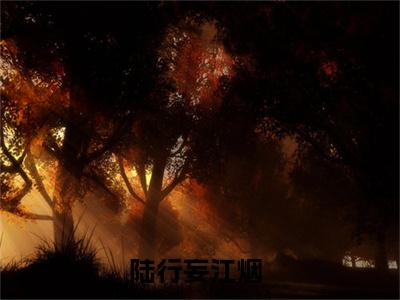 陆行妄江烟正版小说全文阅读 _陆行妄江烟无删减版