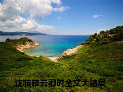 沈桉桉云卿时小说免费版最新更新阅读-沈桉桉云卿时全文免费阅读