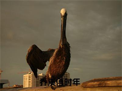 乔溪傅时年全网首发最新小说主角乔溪傅时年全文在线免费阅读