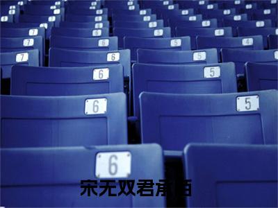 宋无双君承陌小说（宋无双君承陌最新全章节大结局）宋无双君承陌全文阅读