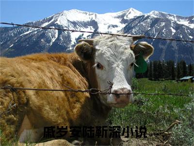 戚岁安陆靳深(戚岁安陆靳深)免费全文阅读小说_（戚岁安陆靳深）戚岁安陆靳深最新章节列表-笔趣阁（戚岁安陆靳深）