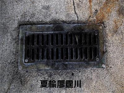 甜爆款小说夏榆廖霆川-夏榆廖霆川免费在线阅读