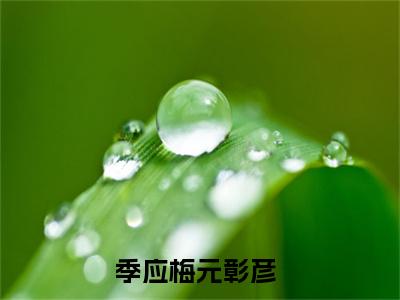 季应梅元彰彦小说在线阅读(季应梅元彰彦)_季应梅元彰彦小说最新章节