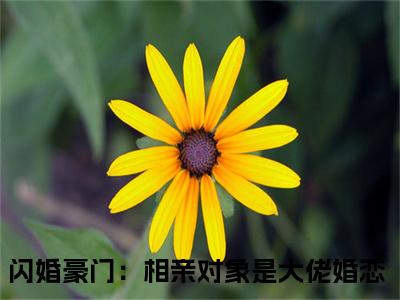 许南音陈时禹（闪婚豪门：相亲对象是大佬）全文免费阅读无弹窗大结局_（许南音陈时禹免费阅读）闪婚豪门：相亲对象是大佬最新章节列表_笔趣阁（闪婚豪门：相亲对象是大佬）