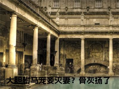 （顾湛冷澜之）大胆驸马宠妾灭妻？骨灰扬了全文免费阅读无弹窗大结局_大胆驸马宠妾灭妻？骨灰扬了全文免费完结版阅读（顾湛冷澜之）