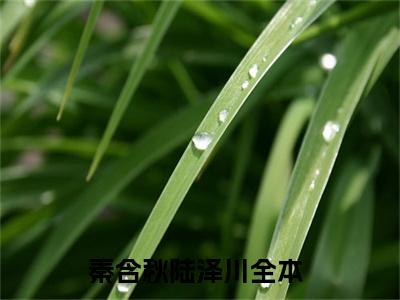 秦含秋陆泽川小说大结局精彩推荐，秦含秋陆泽川全文完整版在线阅读