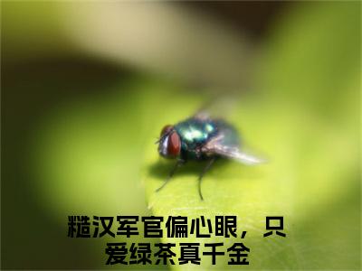 糙汉军官偏心眼，只爱绿茶真千金（苏星月）免费小说全文完整版-苏星月最新章节完整版阅读