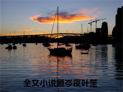 言情小说榜单顾岑夜叶笙阅读全文（顾岑夜叶笙）-顾岑夜叶笙完整版免费小说