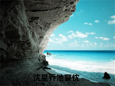 沈星乔池宴忱（沈星乔池宴忱）全文免费阅读无弹窗大结局_沈星乔池宴忱全文免费阅读（沈星乔池宴忱）最新章节列表_笔趣阁（沈星乔池宴忱）