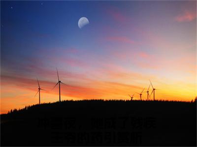 冲喜夜，她成了残疾王爷的药引（殷无双容洛）全文免费阅读无弹窗大结局_（冲喜夜，她成了残疾王爷的药引）殷无双容洛章节列表