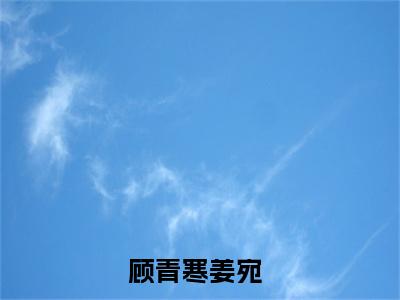 顾青寒姜宛小说（顾青寒姜宛全文完整版免费阅读）_顾青寒姜宛小说免费最新章节列表