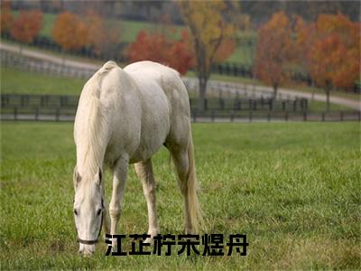 江芷柠宋煜舟精选小说-江芷柠宋煜舟全章节(江芷柠宋煜舟)完整小说