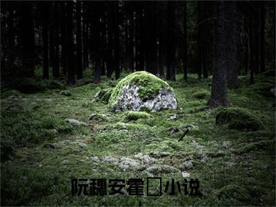 抖音热推阮穗安霍櫂（阮穗安霍櫂）免费小说-阮穗安霍櫂小说完整版阅读