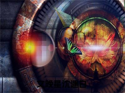 文晚星沈遇白独家小说（文晚星沈遇白）-（文晚星沈遇白）无删版小说推荐