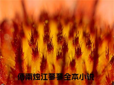 傅南烛江蓼蓼小说（傅南烛江蓼蓼）全文免费阅读_（傅南烛江蓼蓼）小说最新章节列表_笔趣阁（傅南烛江蓼蓼）