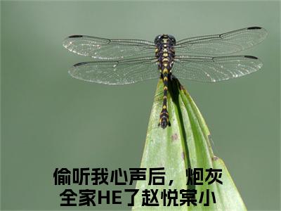 偷听我心声后，炮灰全家HE了赵悦棠（偷听我心声后，炮灰全家HE了赵悦棠）小说大结局全文免费阅读-偷听我心声后，炮灰全家HE了赵悦棠抖音小说