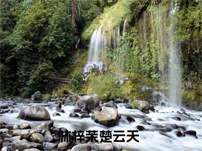 林梓茉楚云天小说(林梓茉楚云天)全文免费阅读无弹窗大结局_(林梓茉楚云天免费阅读全文大结局)最新章节列表_笔趣阁（林梓茉楚云天）