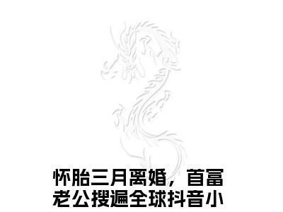 怀胎三月离婚，首富老公搜遍全球小说（傅寒夜沈念）全文免费阅读无弹窗大结局_傅寒夜沈念小说最新章节列表_笔趣阁