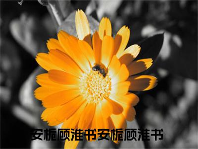 安栀顾淮书（安栀顾淮书）全文免费阅读无弹窗大结局_安栀顾淮书最新章节列表-笔趣阁安栀顾淮书