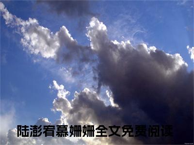 陆澎宥慕姗姗全文免费阅读无弹窗大结局-爱情姗姗来迟小说在哪里可以看