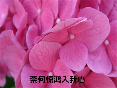 奈何惊鸿入我心（祈淮楼嫣）全文在线阅读无弹窗大结局_（奈何惊鸿入我心在线阅读）最新章节列表_笔趣阁