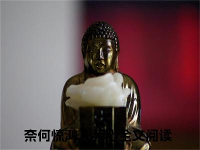 奈何惊鸿入我心（祈淮楼嫣）在哪免费看-奈何惊鸿入我心小说（祈淮楼嫣）全文完整版免费阅读