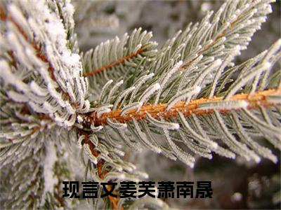 姜芙萧南晟小说（姜芙萧南晟）全文免费阅读无弹窗_姜芙萧南晟全文免费阅读无弹窗最新章节列表