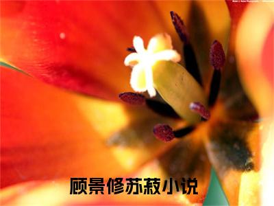 顾景修苏菽（顾景修苏菽）全文免费阅读（顾景修苏菽）小说无弹窗阅读