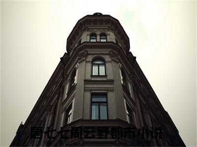 唐七七周云野全文免费阅读无弹窗大结局_（唐七七周云野阅读无弹窗）唐七七周云野最新章节列表_笔趣阁（唐七七周云野）