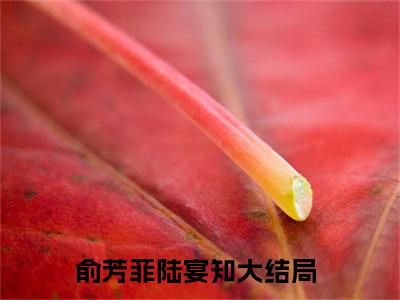 俞芳菲陆宴知小说免费在线阅读无弹窗-主角是俞芳菲陆宴知的小说