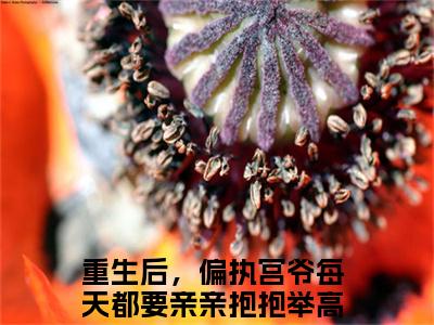 宫夜寒南欢（大结局小说全集完整版）重生后，偏执宫爷每天都要亲亲抱抱举高高小说_宫夜寒南欢全文阅读笔趣阁