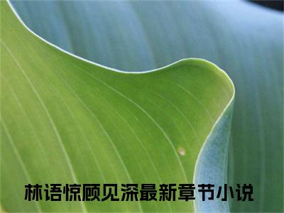 林语惊顾见深无弹窗最新章节列表_笔趣阁