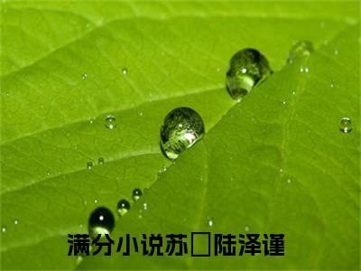 苏玥陆泽谨小说全文免费在线阅读-苏玥陆泽谨全文试读最新章节列表