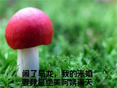 闹了乌龙，我的未婚妻竟是绝美阿姨秦天全文免费 闹了乌龙，我的未婚妻竟是绝美阿姨秦天在线阅读