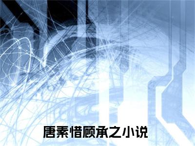 唐素惜顾承之大结局免费阅读 唐素惜顾承之全文小说