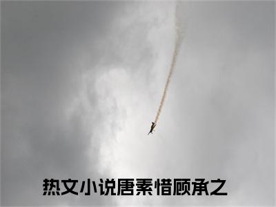 唐素惜顾承之（唐素惜顾承之）全文免费阅读无弹窗大结局_唐素惜顾承之全文免费阅读_笔趣阁