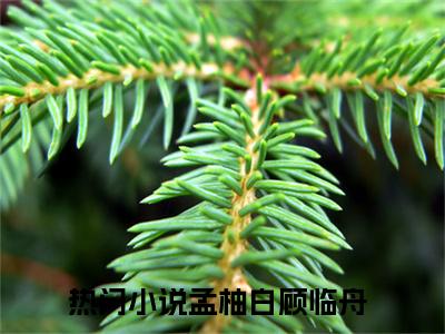 孟柚白顾临舟全文小说-孟柚白顾临舟小说最新章节免费阅读