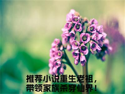 重生老祖，带领家族杀穿仙界！刘玄元(重生老祖，带领家族杀穿仙界！刘玄元小说)全文免费阅读无弹窗大结局_重生老祖，带领家族杀穿仙界！刘玄元小说免费阅读最新章节列表_笔趣阁（重生老祖，带领家族杀穿仙界！刘玄元小说）