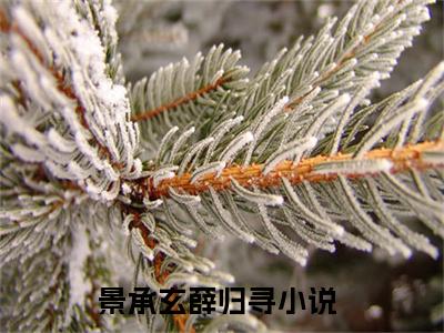 高赞小说景承玄薛归寻（景承玄薛归寻小说免费阅读）完结阅读_景承玄薛归寻小说免费阅读免费看全文