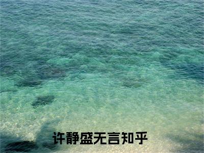 小说（许静盛无言）最新章节免费阅读-（许静盛无言）小说全文无删减版