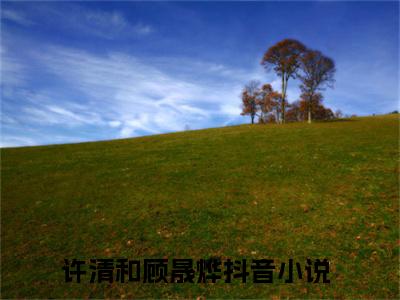 许清和顾晟烨（许清和顾晟烨全文免费阅读）完结阅读_许清和顾晟烨全文免费阅读免费看全文