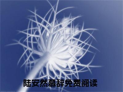 陆安然慕辞（陆安然慕辞）全文免费阅读无弹窗大结局-陆安然慕辞最新章节列表免费阅读