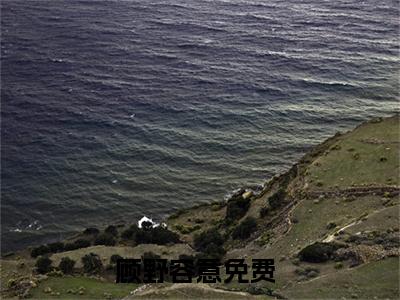 顾野容意小说免费阅读无弹窗《顾野容意》_顾野容意全文阅读